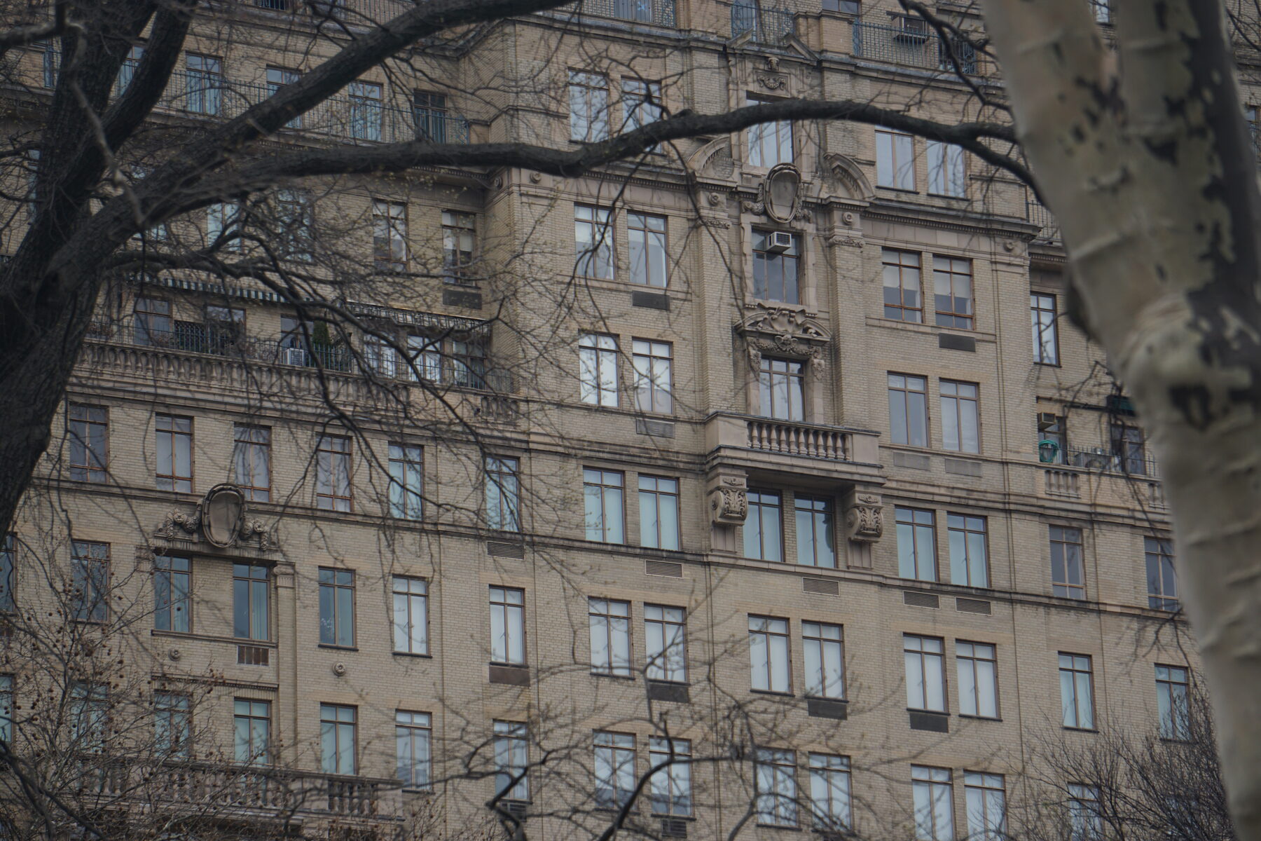 Ornate stone detail on a pre-war apartment building facade, partially obscured by bare tree branches