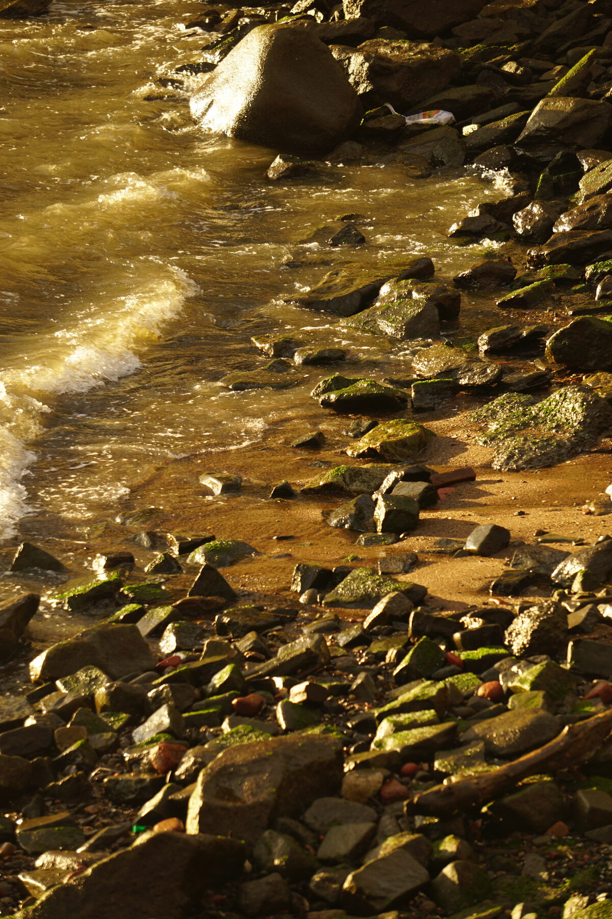 Close-up of sunlit water and rocks along the Hudson River shoreline