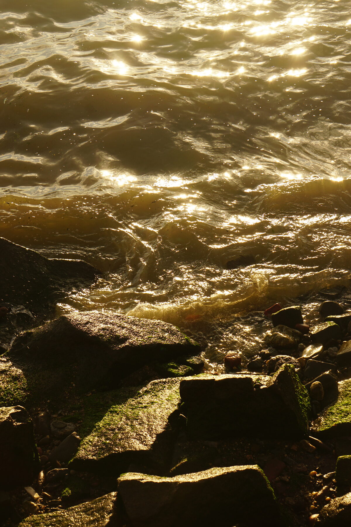 Golden hour light on the rocky Hudson River shoreline